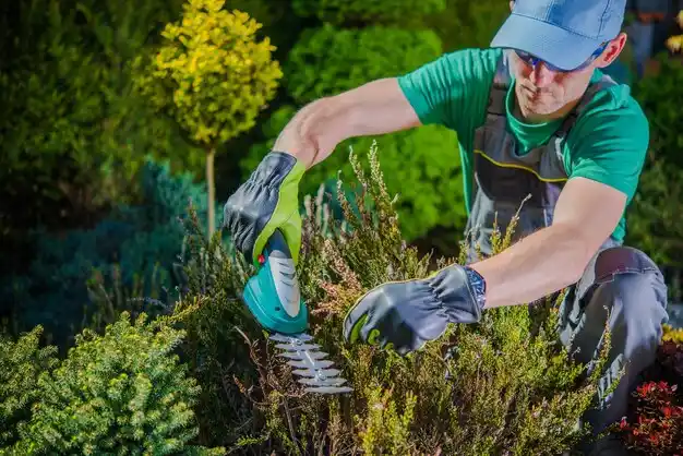 landscaping services Montgomery City
